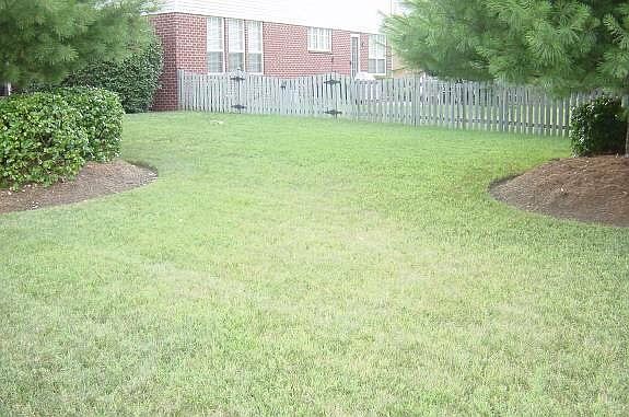 Fenced yard, corner lot