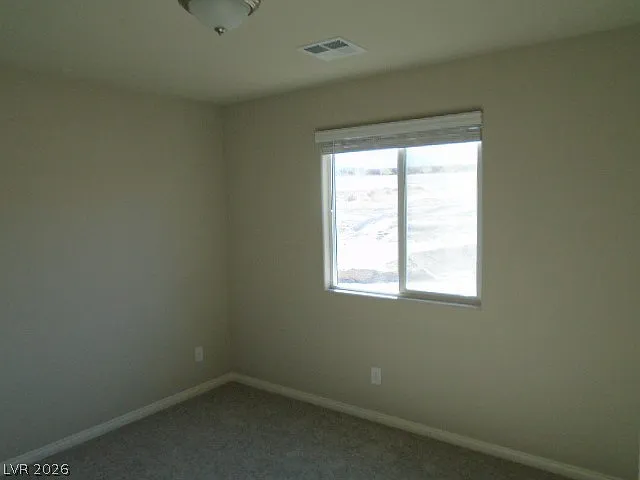 5281 Acadia Leaf St — Photo 27