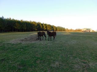 2186 Windmill Rd, Newton, AL 36352