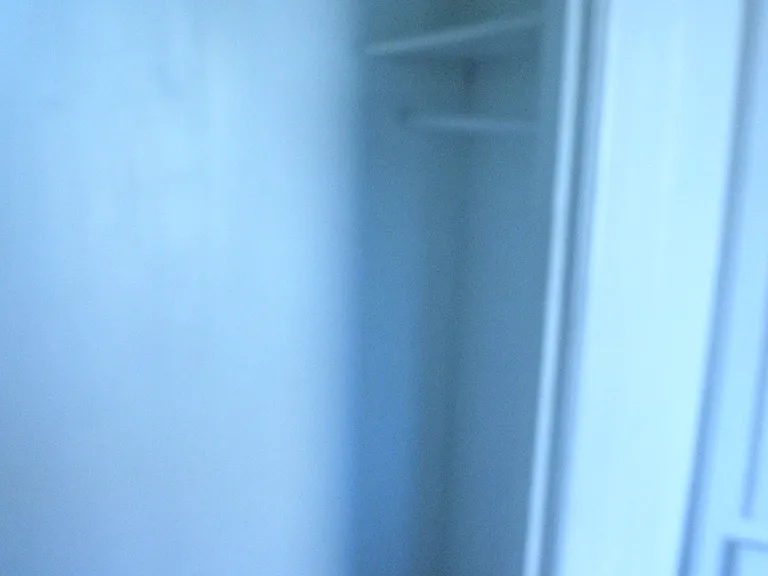 2214 Channing Way #1 — Photo 6