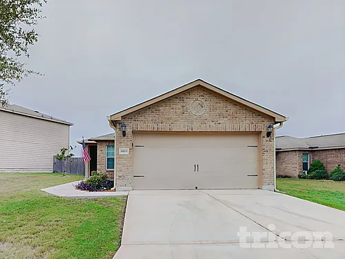 6803 Luckey Tree Photo 1