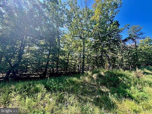 3rd image of Cardinal Dr