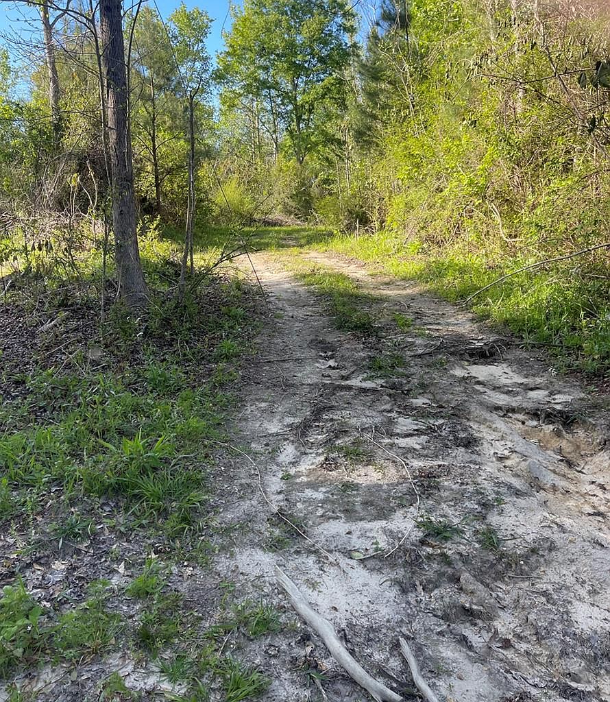 875 Rock Ranch Rd, Carriere, MS 39426 Zillow