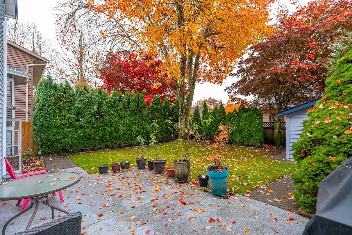 3 bed, 1500 sqft, $7,000 — Photo 2
