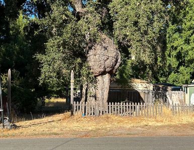 0 Riverside Ave, Ben Lomond, CA, 95005