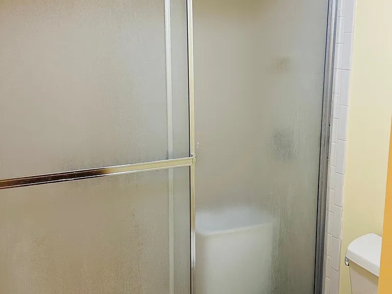 Master bath shower