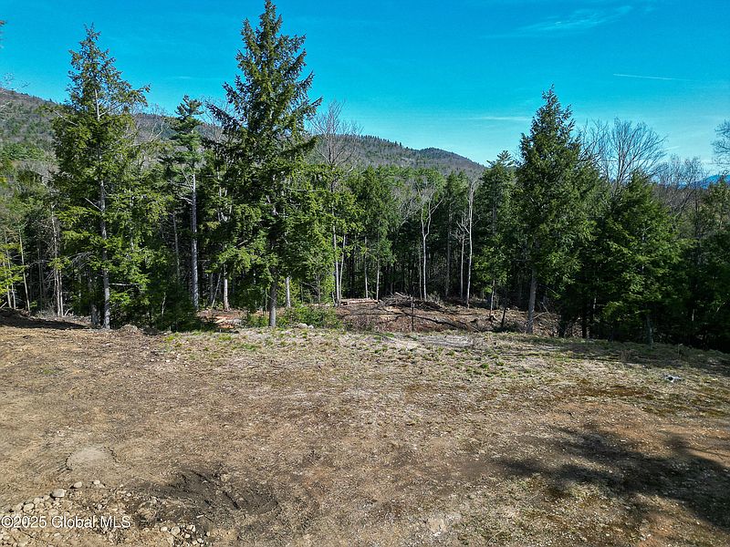 2nd image of 1957 Route 9N