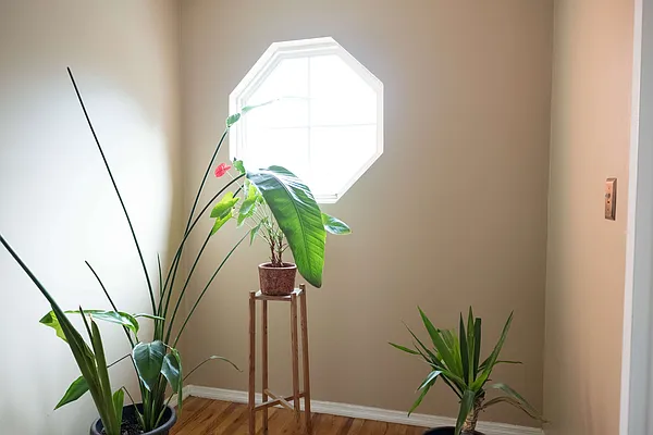 Rented by Susan Penzner Real Estate | media 24