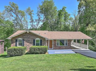 317 Springfield Dr, Bristol, TN 37620
