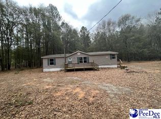 106 Cemetery Ln, Blenheim, SC 29565