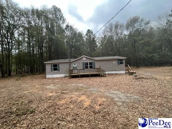 106 Cemetery Ln, Blenheim, SC 29565