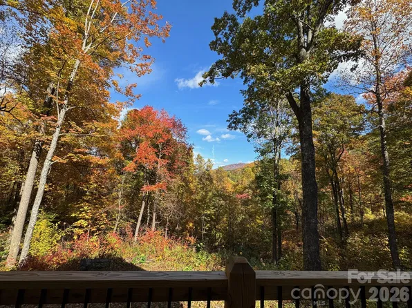 771 Sally Gap Rd, Old Fort, NC 28762