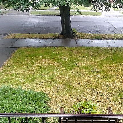 Front Porch from Patio's POV