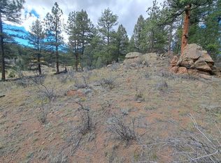 1077 Roland Dr, Bailey, CO 80421