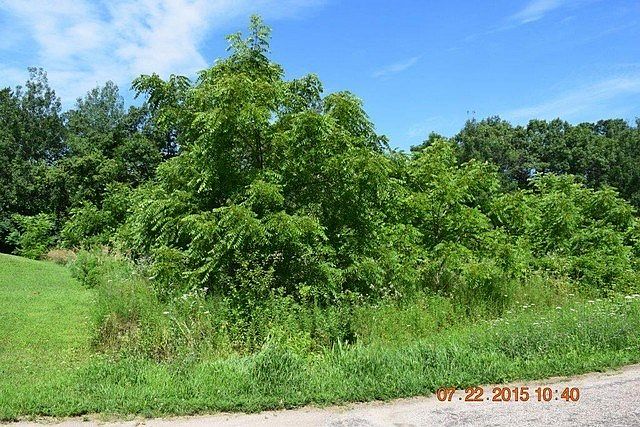 2nd image of 0 State Highway 131
