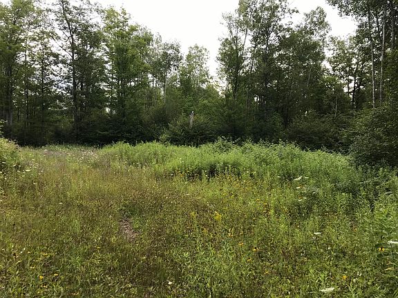 5th image of 0 S Healy Rd
