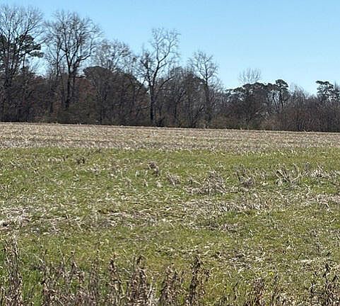 3rd image of 1292 Clayhole Rd Lot 10