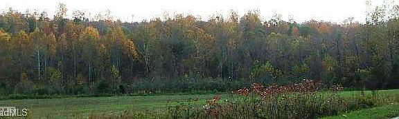4th image of 0 Snead Rd