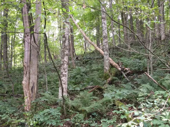 601 Little Mountain Dr, Hillsboro, WV 24946