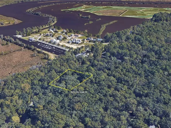 823 Silk Hope Drive, Richmond Hill, GA 31324