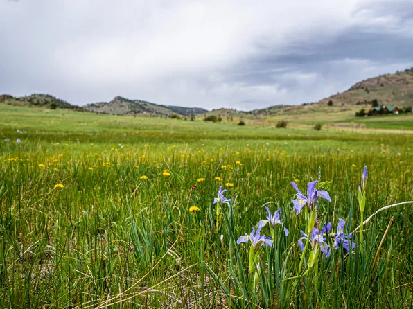 816 Meadow Way, Livermore, CO 80536