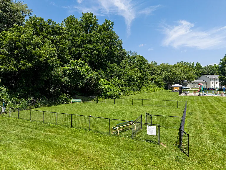 Bark Park