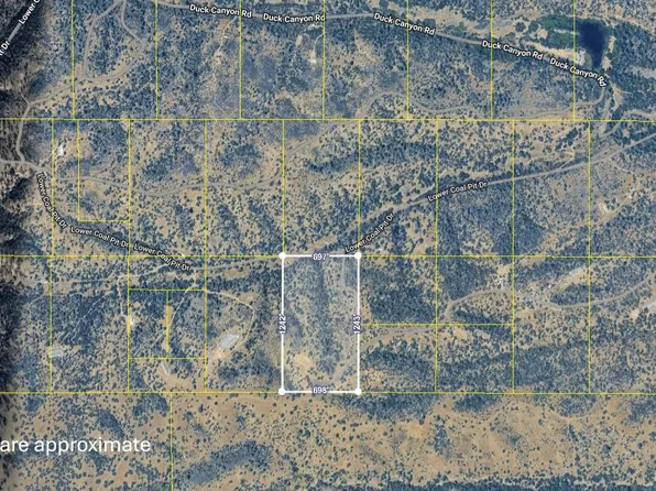 15515 Lower Coal Pit Dr, Igo, CA 96047
