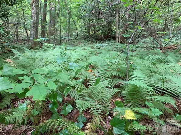 0 Peppervine Cir, Rosman, NC 28772