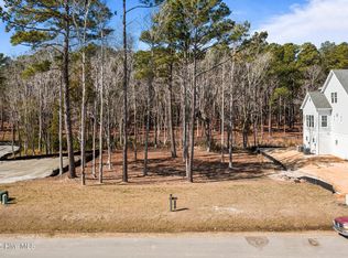 545 Avocet Dr LOT 249, Beaufort, NC 28516