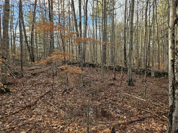 0 Old Waterford Road, Lovell, ME 04051