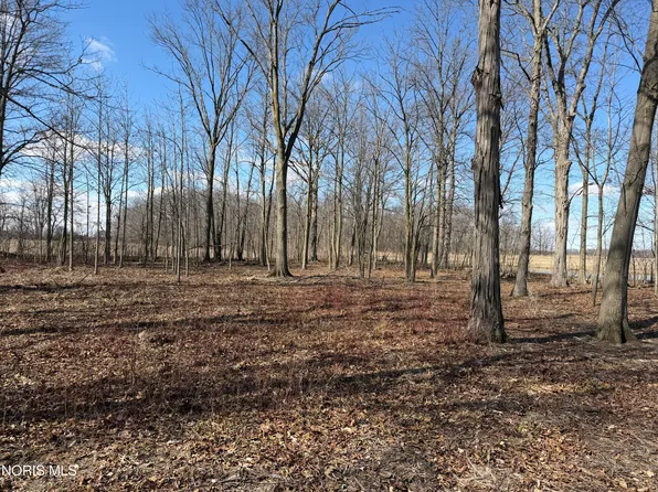 Elmwood Dr, Sherwood, OH 43556