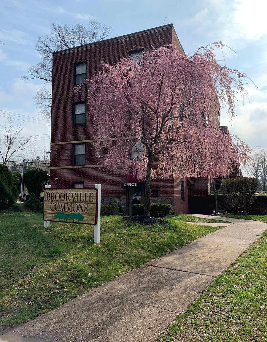 323 Clearfield Ave APT 3B, Trenton, NJ 08618 Zillow
