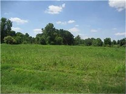 3rd image of 1804 Esther Dr
