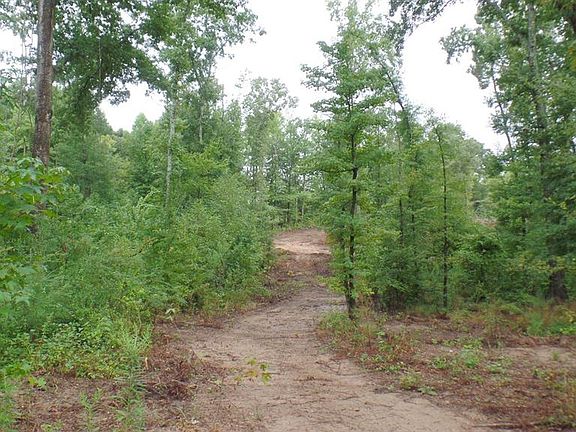 5th image of 0000 County Road 4105
