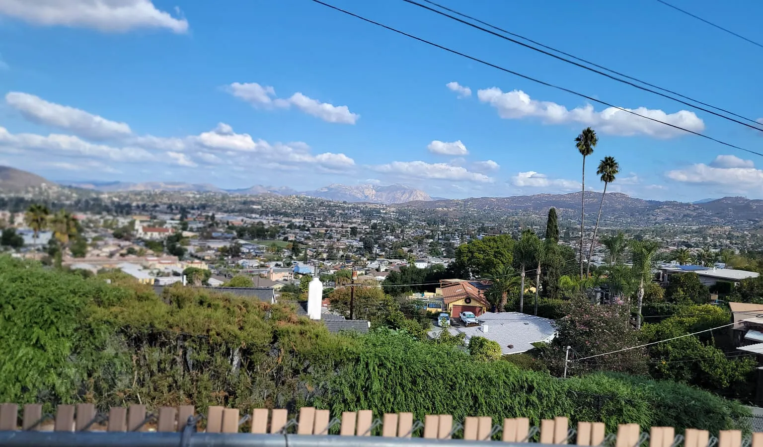 1 bed, 700 sqft, $1,950 — Photo 1