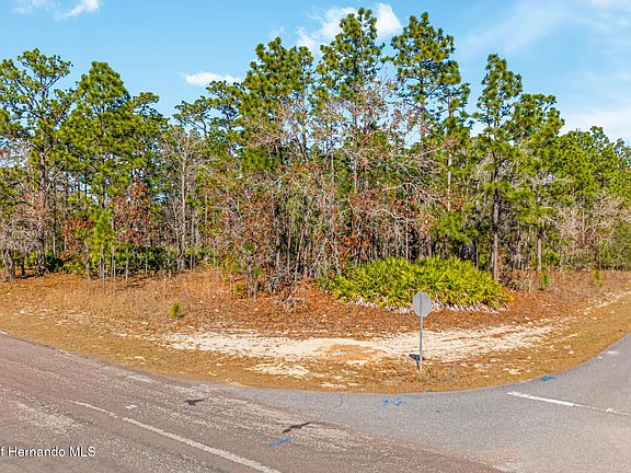 4th image of 6932 N Glenridge Cir