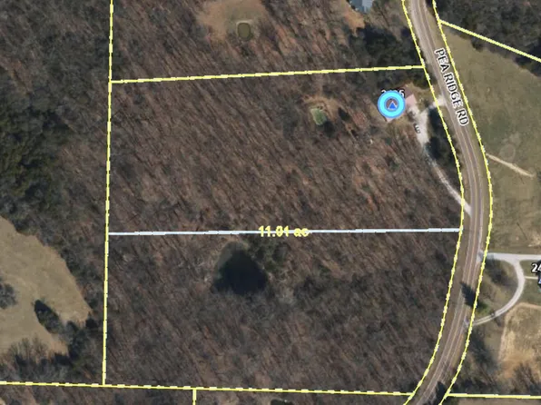 TRACT B6 Pea Ridge Rd, Centertown, MO 65023