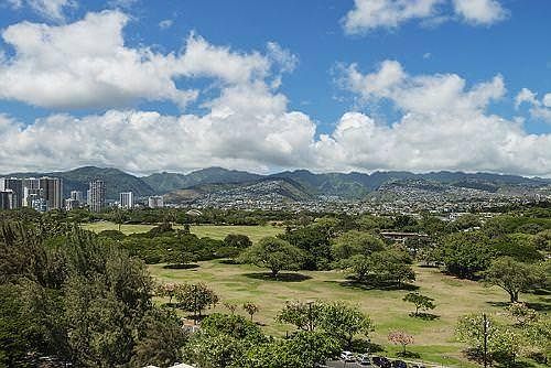 Lawn and mountain view