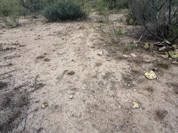 0 Cactus Rose Ln, Ozona, TX 76943