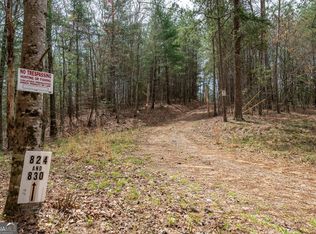 824 Banks Rd #830, Ellijay, GA 30540