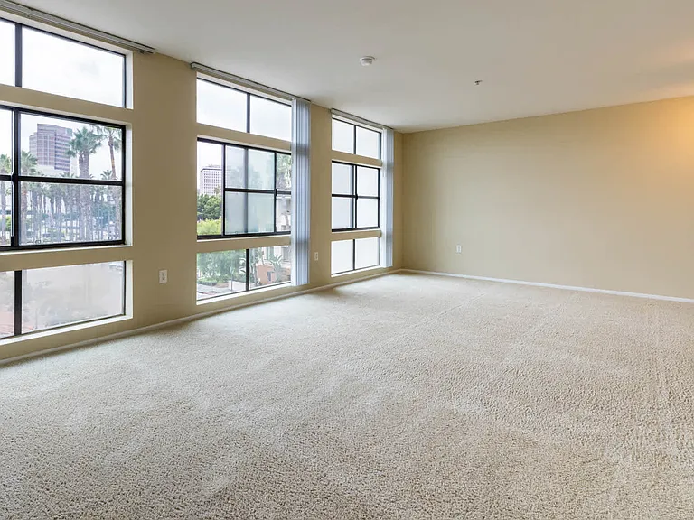 Carpeted Studio