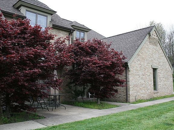 3rd image of 3900 Bridgewood Cir