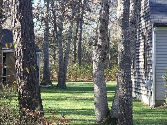 Nov. 2009 Side yard left