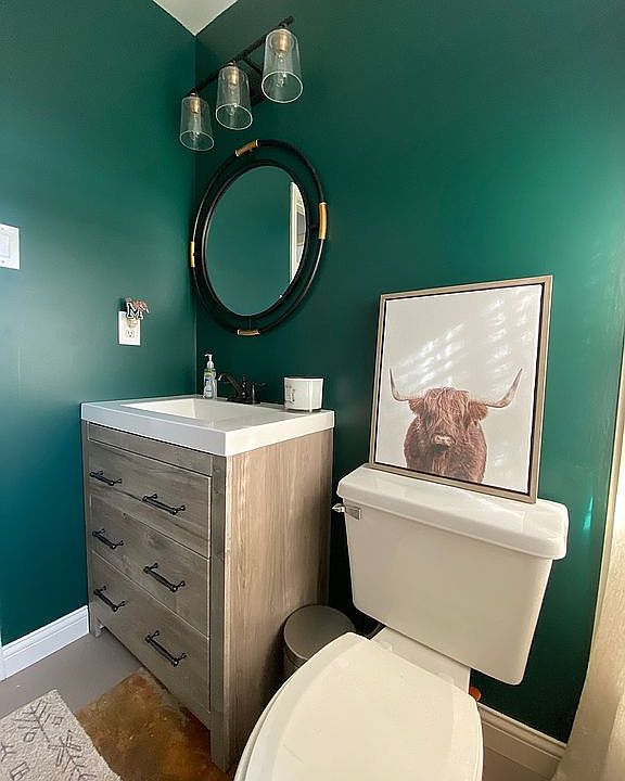 Downstairs spare bathroom