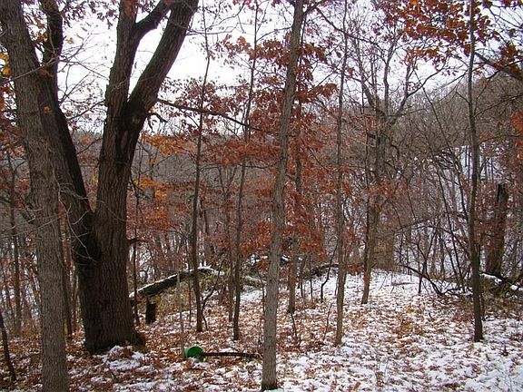 Scared up a turkey on this visit!