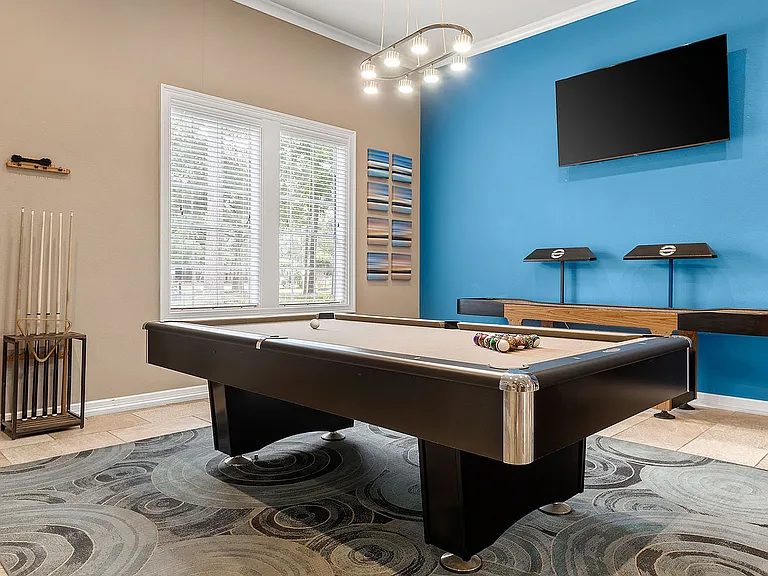 C243040_VillagesofCypressCreek_GameRoom_01