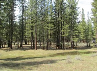 5325 Gold Spike Ln, Portola, CA 96122