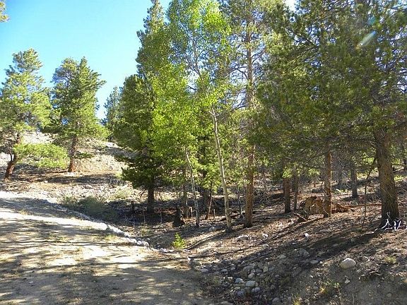 3rd image of 217 La Plata Peak Dr Lot 197