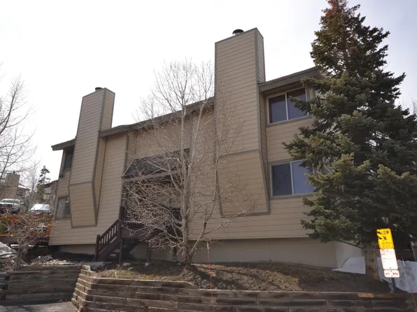 6917 Ryan Gulch Rd, Silverthorne, CO 80498