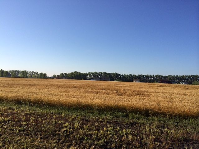 1st image of 1715 Lonesome Dove Drive Ne